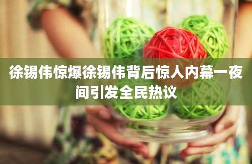 徐锡伟惊爆徐锡伟背后惊人内幕一夜间引发全民热议