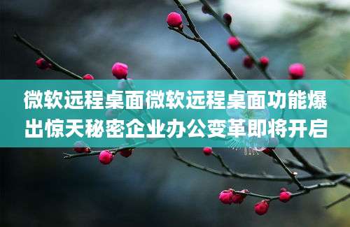 微软远程桌面微软远程桌面功能爆出惊天秘密企业办公变革即将开启