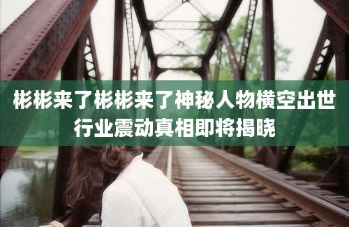 彬彬来了彬彬来了神秘人物横空出世行业震动真相即将揭晓