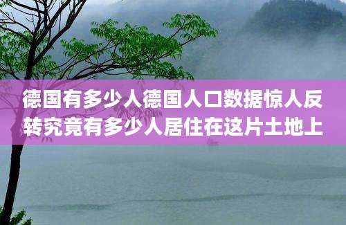德国有多少人德国人口数据惊人反转究竟有多少人居住在这片土地上