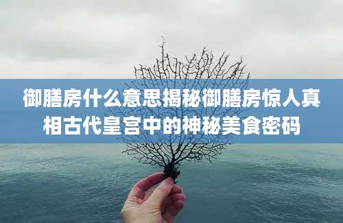 御膳房什么意思揭秘御膳房惊人真相古代皇宫中的神秘美食密码