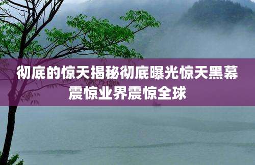 彻底的惊天揭秘彻底曝光惊天黑幕震惊业界震惊全球