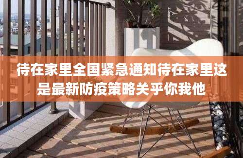 待在家里全国紧急通知待在家里这是最新防疫策略关乎你我他