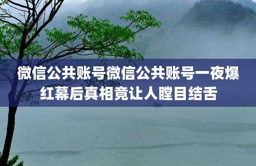 微信公共账号微信公共账号一夜爆红幕后真相竟让人瞠目结舌