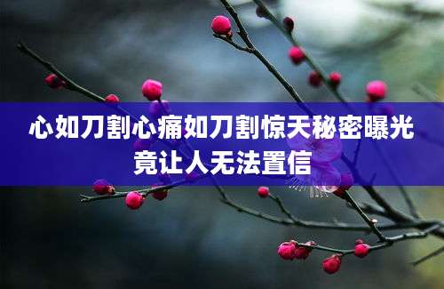 心如刀割心痛如刀割惊天秘密曝光竟让人无法置信