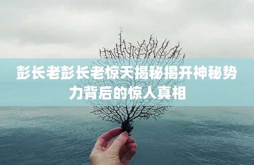 彭长老彭长老惊天揭秘揭开神秘势力背后的惊人真相
