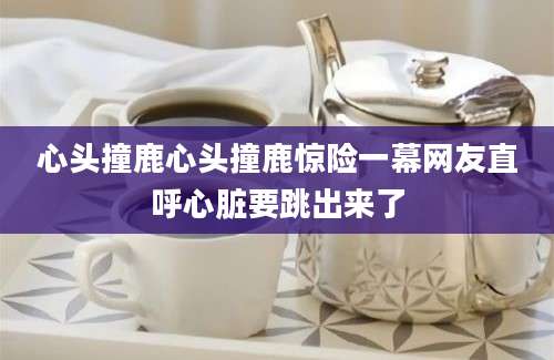 心头撞鹿心头撞鹿惊险一幕网友直呼心脏要跳出来了