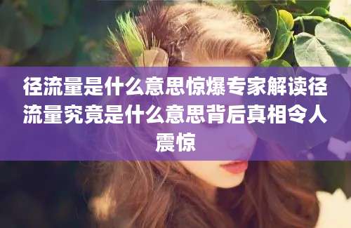 径流量是什么意思惊爆专家解读径流量究竟是什么意思背后真相令人震惊