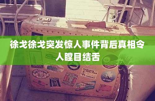 徐戈徐戈突发惊人事件背后真相令人瞠目结舌