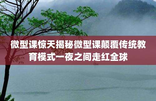 微型课惊天揭秘微型课颠覆传统教育模式一夜之间走红全球