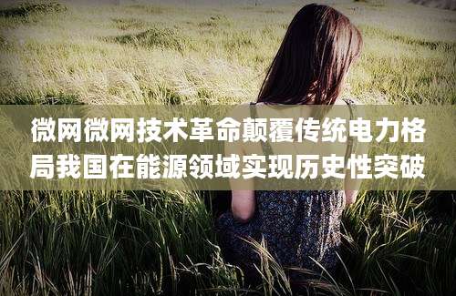 微网微网技术革命颠覆传统电力格局我国在能源领域实现历史性突破