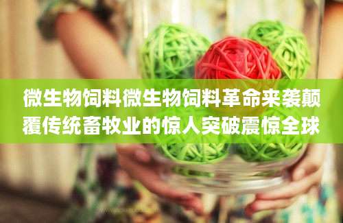 微生物饲料微生物饲料革命来袭颠覆传统畜牧业的惊人突破震惊全球