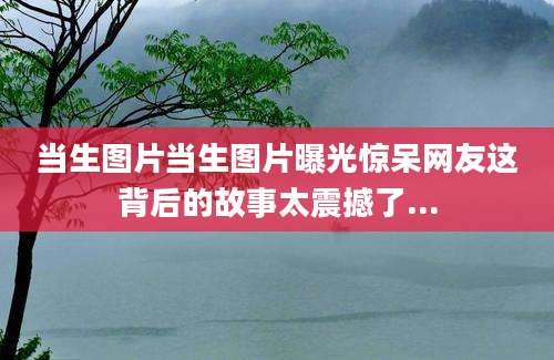 当生图片当生图片曝光惊呆网友这背后的故事太震撼了...