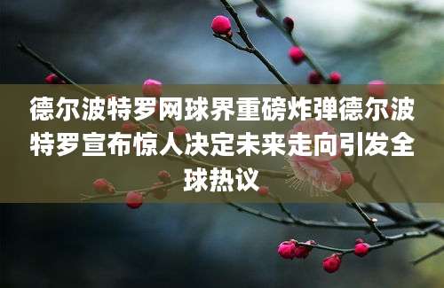 德尔波特罗网球界重磅炸弹德尔波特罗宣布惊人决定未来走向引发全球热议