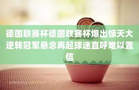 德国联赛杯德国联赛杯爆出惊天大逆转冠军悬念再起球迷直呼难以置信