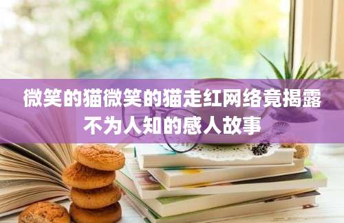 微笑的猫微笑的猫走红网络竟揭露不为人知的感人故事