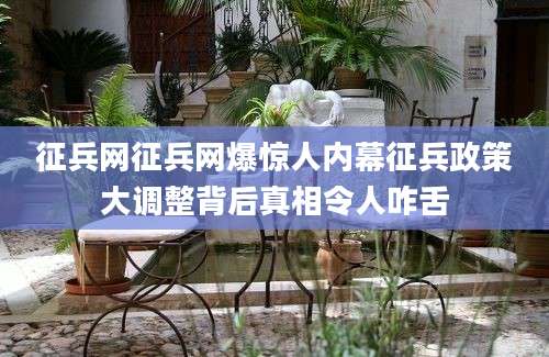 征兵网征兵网爆惊人内幕征兵政策大调整背后真相令人咋舌