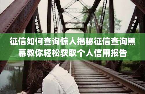 征信如何查询惊人揭秘征信查询黑幕教你轻松获取个人信用报告