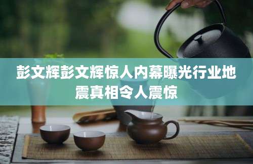 彭文辉彭文辉惊人内幕曝光行业地震真相令人震惊