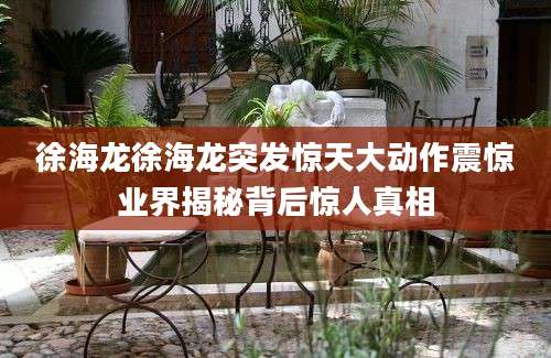 徐海龙徐海龙突发惊天大动作震惊业界揭秘背后惊人真相