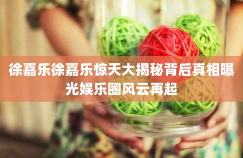 徐嘉乐徐嘉乐惊天大揭秘背后真相曝光娱乐圈风云再起