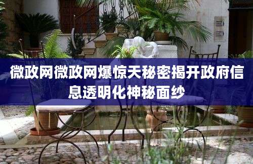 微政网微政网爆惊天秘密揭开政府信息透明化神秘面纱