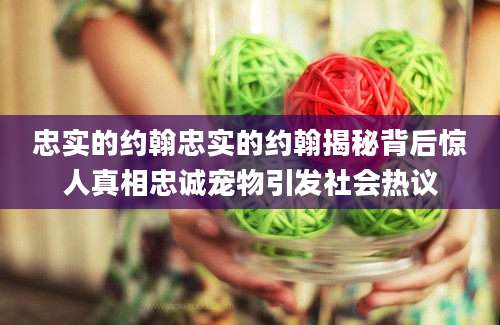 忠实的约翰忠实的约翰揭秘背后惊人真相忠诚宠物引发社会热议