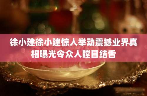徐小建徐小建惊人举动震撼业界真相曝光令众人瞠目结舌