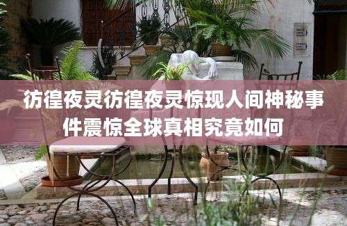 彷徨夜灵彷徨夜灵惊现人间神秘事件震惊全球真相究竟如何