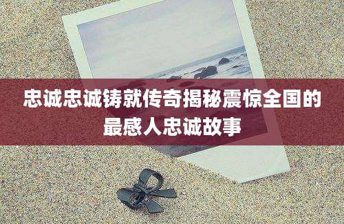 忠诚忠诚铸就传奇揭秘震惊全国的最感人忠诚故事