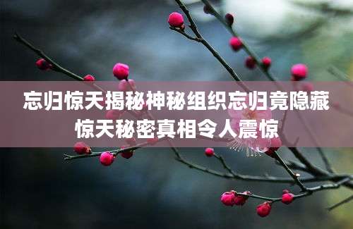 忘归惊天揭秘神秘组织忘归竟隐藏惊天秘密真相令人震惊
