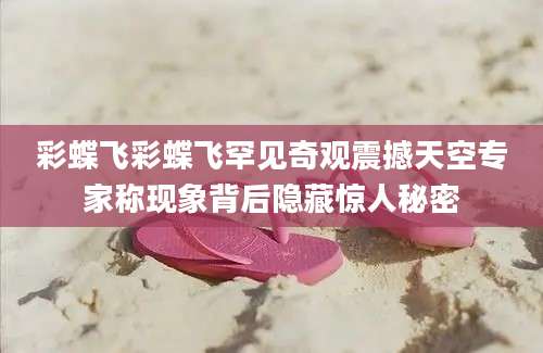 彩蝶飞彩蝶飞罕见奇观震撼天空专家称现象背后隐藏惊人秘密