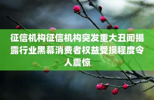 征信机构征信机构突发重大丑闻揭露行业黑幕消费者权益受损程度令人震惊