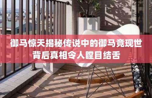 御马惊天揭秘传说中的御马竟现世背后真相令人瞠目结舌