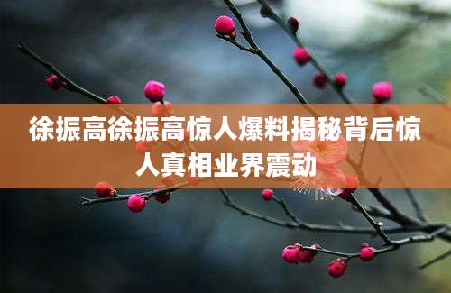 徐振高徐振高惊人爆料揭秘背后惊人真相业界震动
