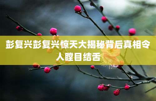 彭复兴彭复兴惊天大揭秘背后真相令人瞠目结舌