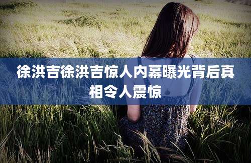 徐洪吉徐洪吉惊人内幕曝光背后真相令人震惊