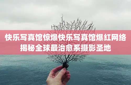 快乐写真馆惊爆快乐写真馆爆红网络揭秘全球最治愈系摄影圣地