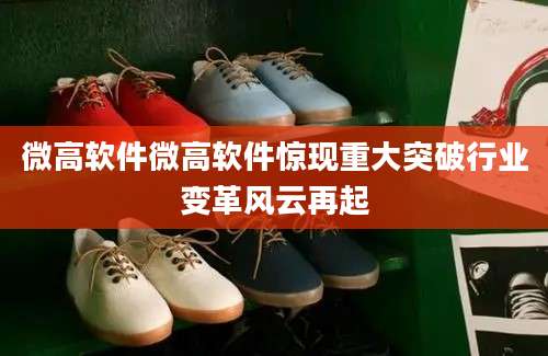 微高软件微高软件惊现重大突破行业变革风云再起