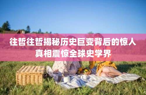 往哲往哲揭秘历史巨变背后的惊人真相震惊全球史学界