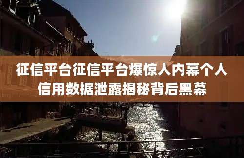 征信平台征信平台爆惊人内幕个人信用数据泄露揭秘背后黑幕