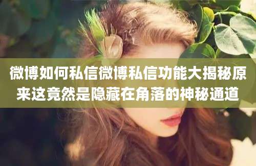 微博如何私信微博私信功能大揭秘原来这竟然是隐藏在角落的神秘通道