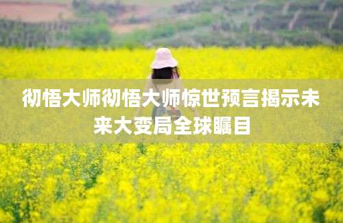 彻悟大师彻悟大师惊世预言揭示未来大变局全球瞩目