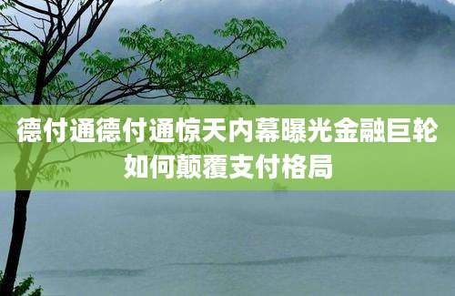 德付通德付通惊天内幕曝光金融巨轮如何颠覆支付格局