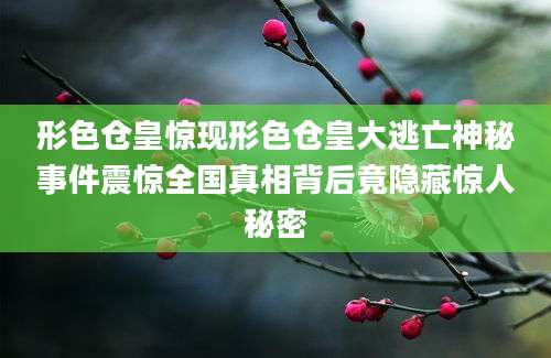形色仓皇惊现形色仓皇大逃亡神秘事件震惊全国真相背后竟隐藏惊人秘密