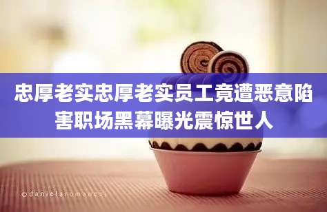 忠厚老实忠厚老实员工竟遭恶意陷害职场黑幕曝光震惊世人