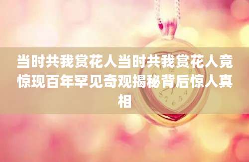 当时共我赏花人当时共我赏花人竟惊现百年罕见奇观揭秘背后惊人真相