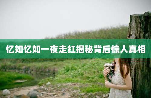 忆如忆如一夜走红揭秘背后惊人真相