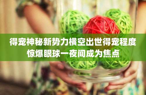 得宠神秘新势力横空出世得宠程度惊爆眼球一夜间成为焦点