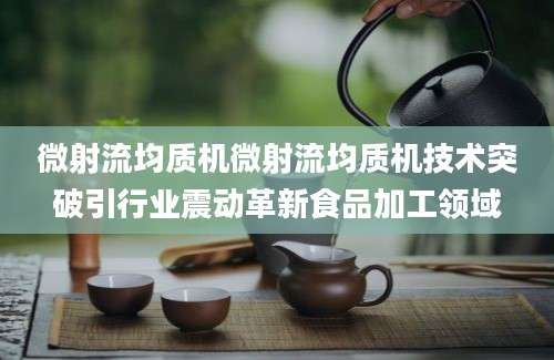 微射流均质机微射流均质机技术突破引行业震动革新食品加工领域